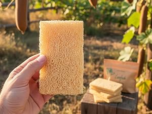 natural kitchen sponge