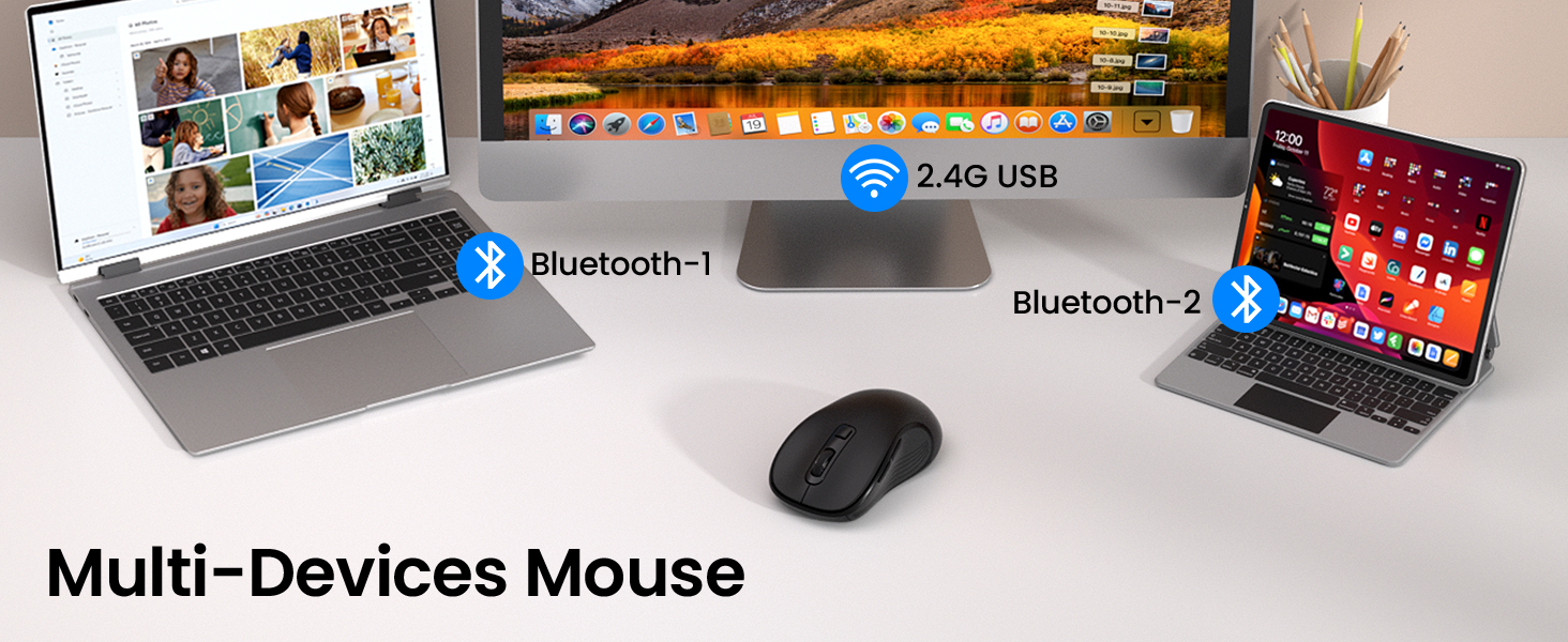 mouse