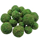 YGbridge Decorative Moss Balls, 5 Pcs 2.3" Green Dried Moss Spheres, 5 Pcs 2" Greenery Balls Faux...