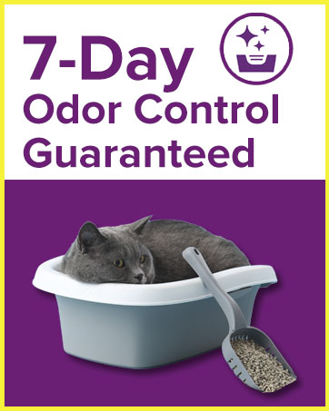 7-day odor control