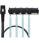 IYUANEPRO Mini SAS SFF-8087 36-Pin to 4X SAS 29-Pin SFF-8482 Cable 3.3FT