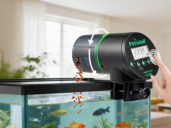 auto feeder fish