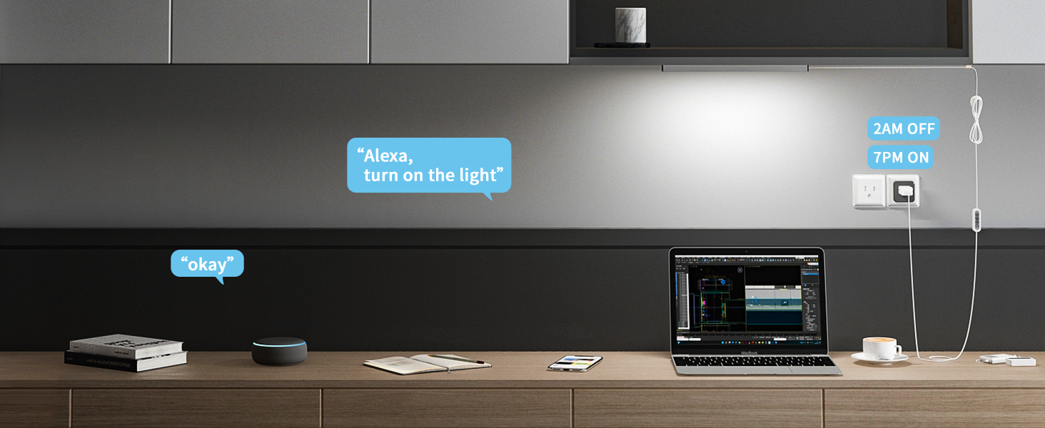Work with Smart Plug and Timer