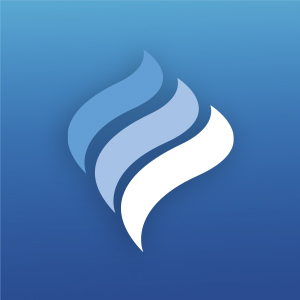 Icon 1