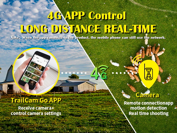 cellular trail camera