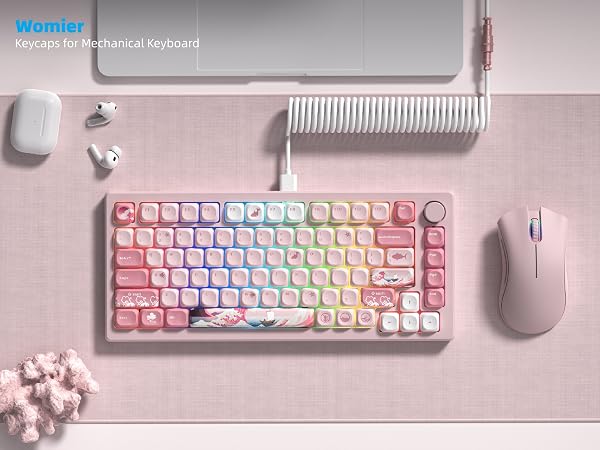 PBT Keycaps for Mechanical Keyboard,75 Percent Dye-Sublimation Custom Keycaps Set