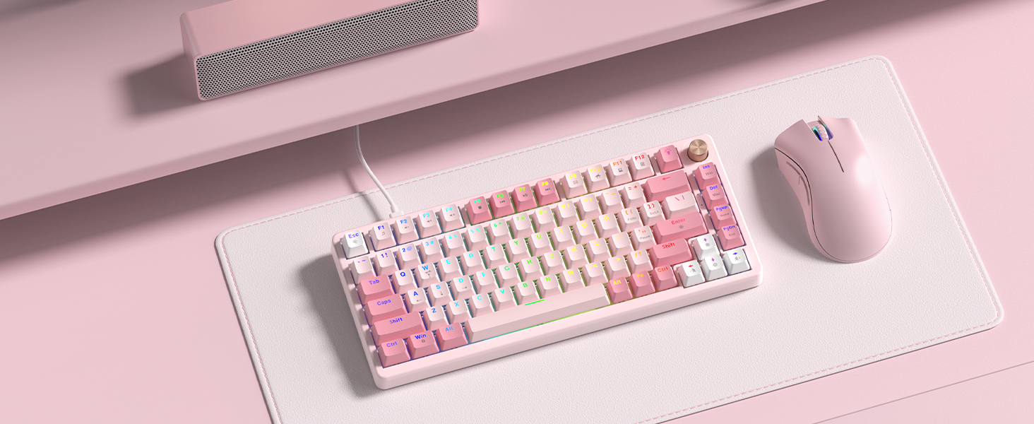 Mechanical Keyboard