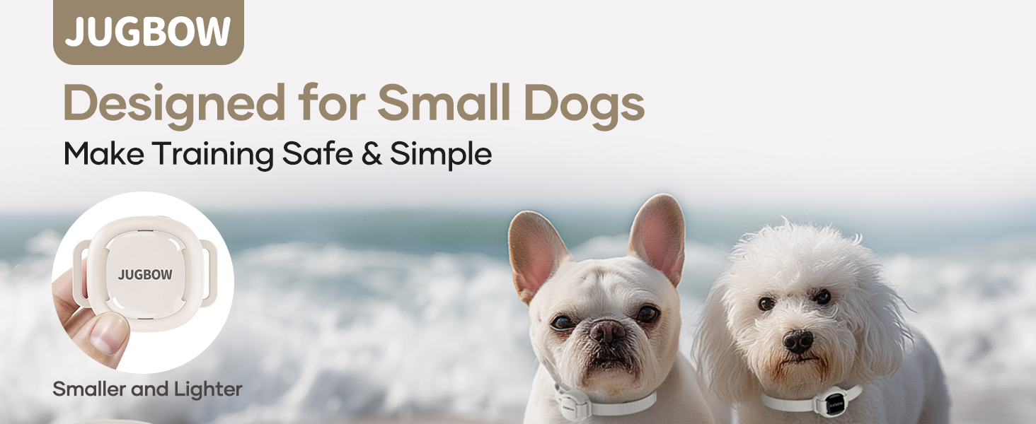 shock collar for dogs