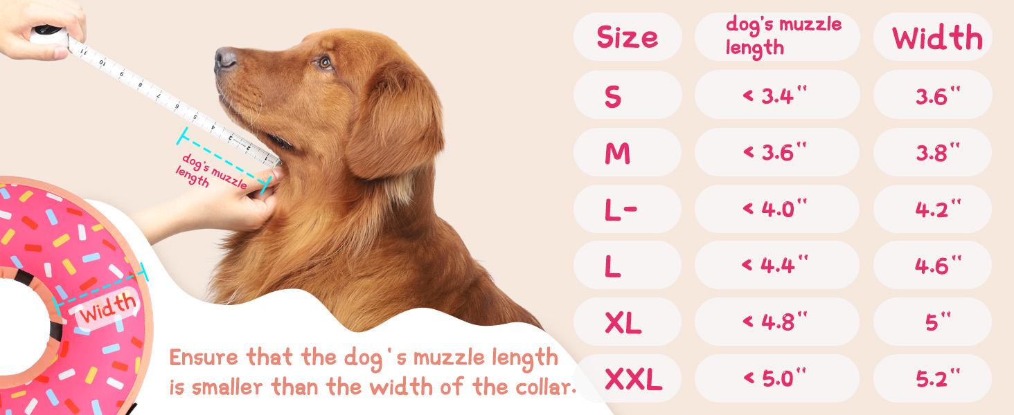 dog donut collar
