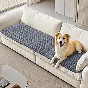 Pet Couches Covers for Sofa