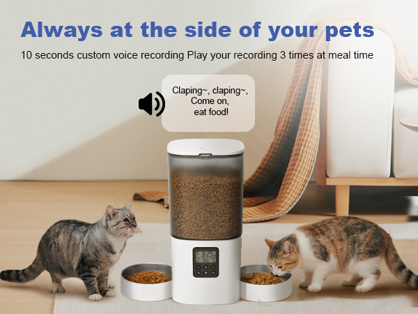 automatic cat feeder with voice call