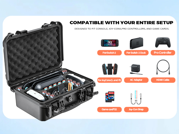 switch 2 big case