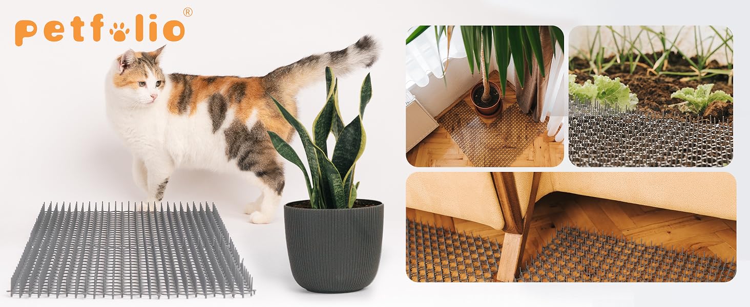 cat scat mat