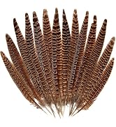 20pcs Female Pheasant Feather Natural Ringneck Tails Feathers 12-14inch 30-35cm for Crafts Home W...