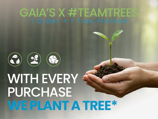 TeamTrees Planting Tree Donation