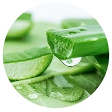 Aloe Vera Extract