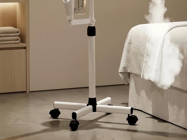 steamer for face