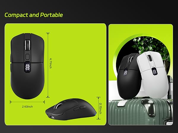 mouse