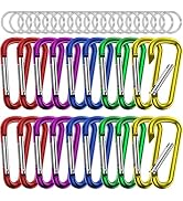 Small Carabiner Clip Keychain