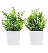 Der Rose 2 Pack Fake Plants Green Small Faux Plants for Table Desk Decor | Mini plants for desks ...