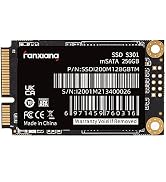 fanxiang S301 256GB mSATA SSD Mini SATA III 6Gb/s Internal Solid State Drive, 3D NAND, Compatible...