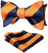 HISDERN Bow Ties for Men Striped Bowties Men's Self Tie Bowtie Handkerchief Formal Tuxedo Wedding...