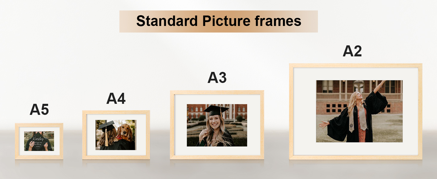 standard picture frames
