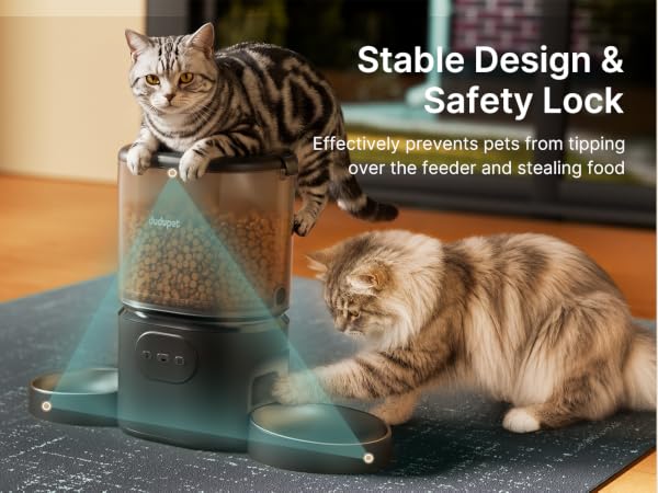 cat food dispenser
