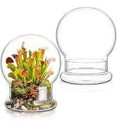 Mezchi 2 Pack Round Glass Cloche Domes with Air Hole and Base, 4.6 X 6.6 Inches Clear Terrarium P...
