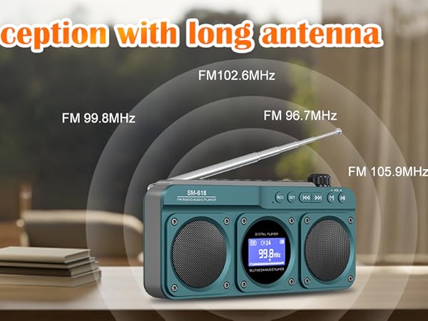 FM Bluetooth Speaker