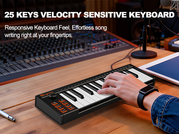 25 KEY KEYBOARD PIANO