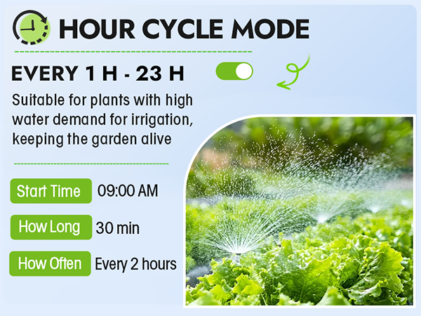 watering timer 2 outlet