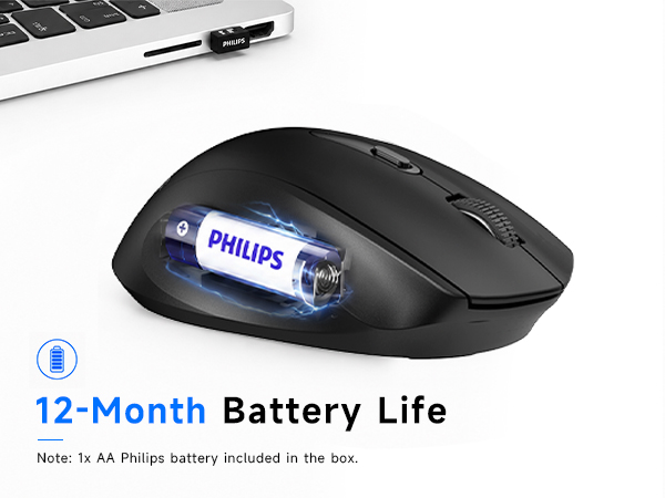 computer mice
