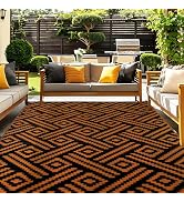 OPPODREAM Outdoor Rug 5x8 Ft, Waterproof Outdoor Plastic Straw Rug for Patio, Reversible Out Door...