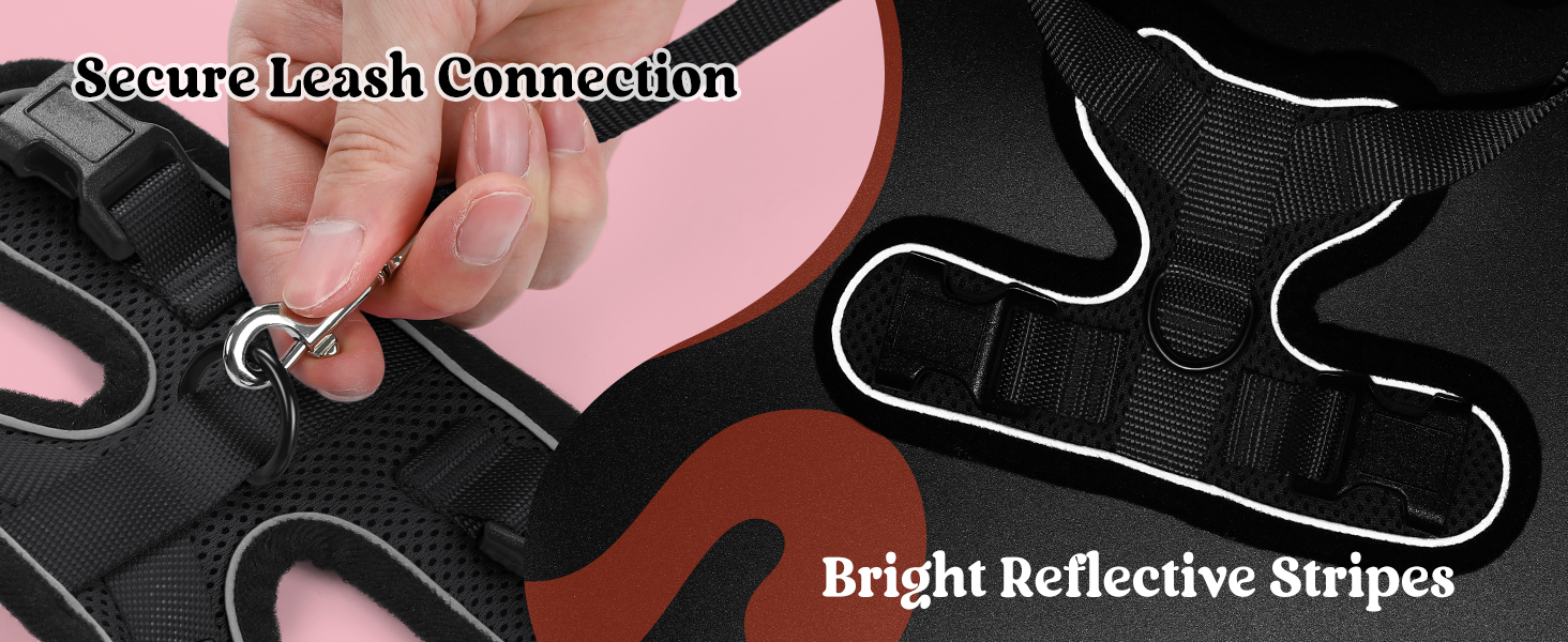 rabbitgoo Cat Harness and Leash for Walking