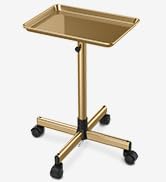 TASALON Premium Salon Tray on Wheels, Aluminum Salon Rolling Tray Trolley for Salon Essentials, A...