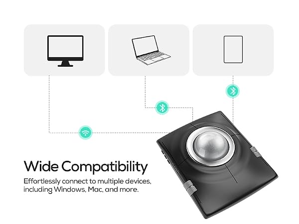 https://m.media-amazon.com/images/S/aplus-media-library-service-media/3d4e694f-8233-4944-bf6c-e6946a02075c.__CR0,0,800,600_PT0_SX600_V1___.jpg