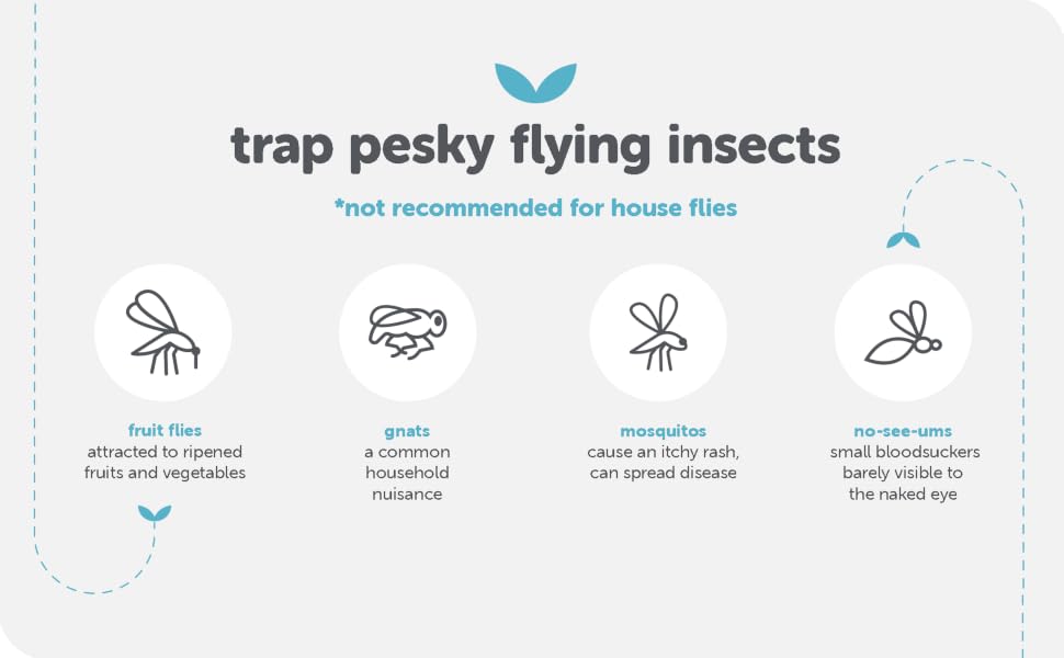 trap pesky flying insects