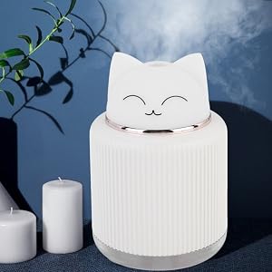 plant humidifiers evaporative humidifier honeywell humidifiers personal humidifiers for bedroom