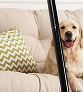 MAVRIZ Pet Hair Removal Broom on Carpet, Rubber Broom for Hardwood Floor - Fur Remover Broom with...