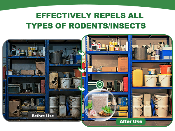 Rodent Control in Warehouses