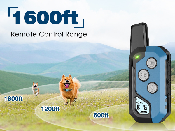 remote control