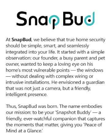 window cameras for home security