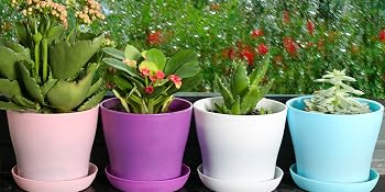 small flower pots