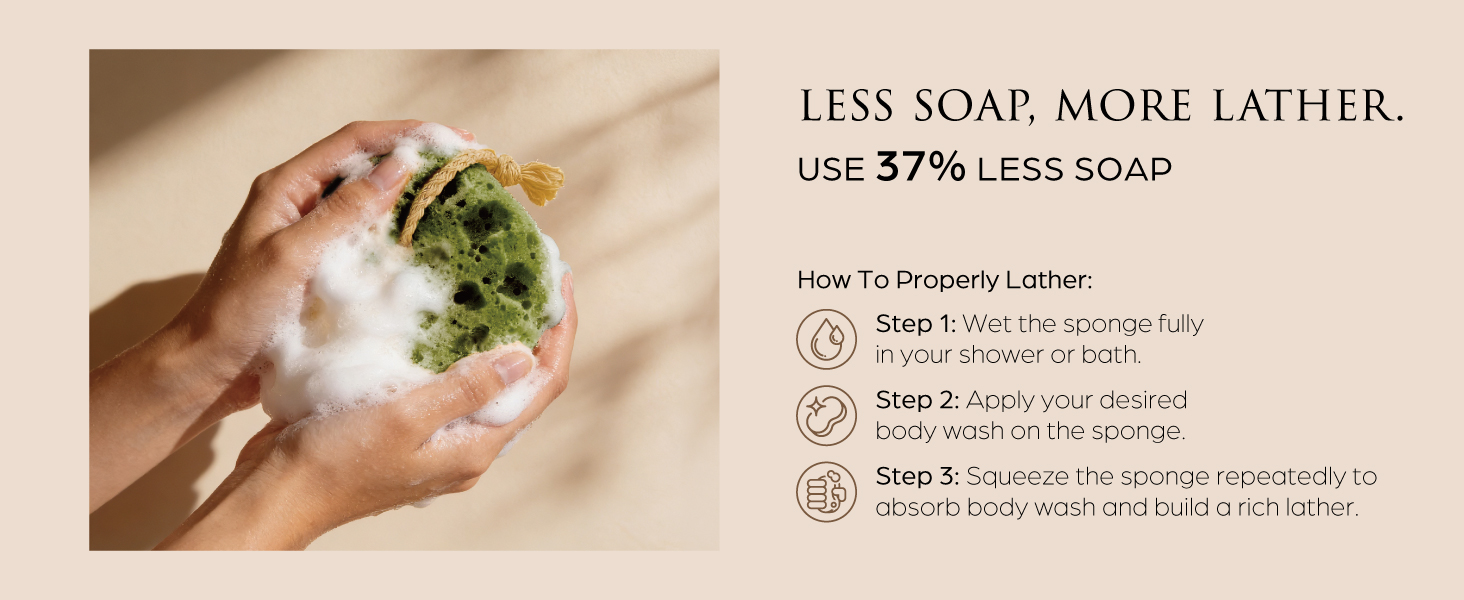 Exfoliating sponge