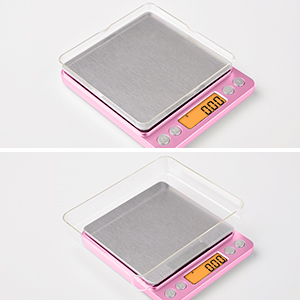 the scale of the food scale