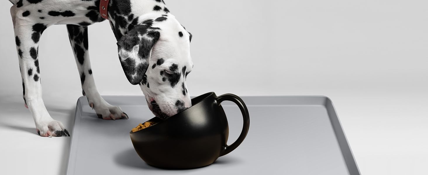 dog supplies food mat deals cat for dogs silicone and water bowl accessories pet stuff boot tray