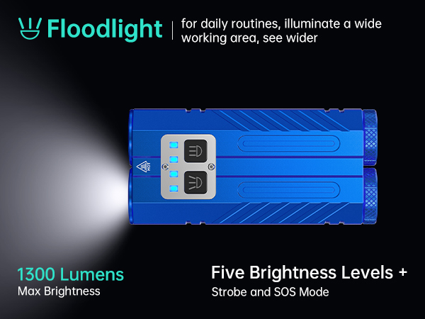 Floodlight Flashlight