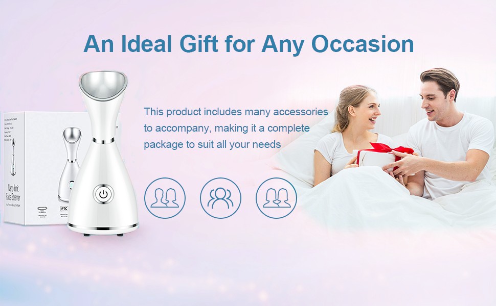 face steamer