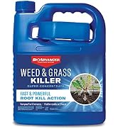 BioAdvanced Weed & Grass Killer, 64-Ounce, Super Concentrate